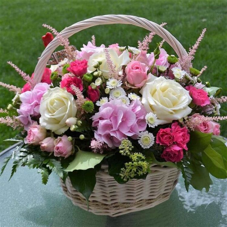 Принцесса от 16 800 руб.