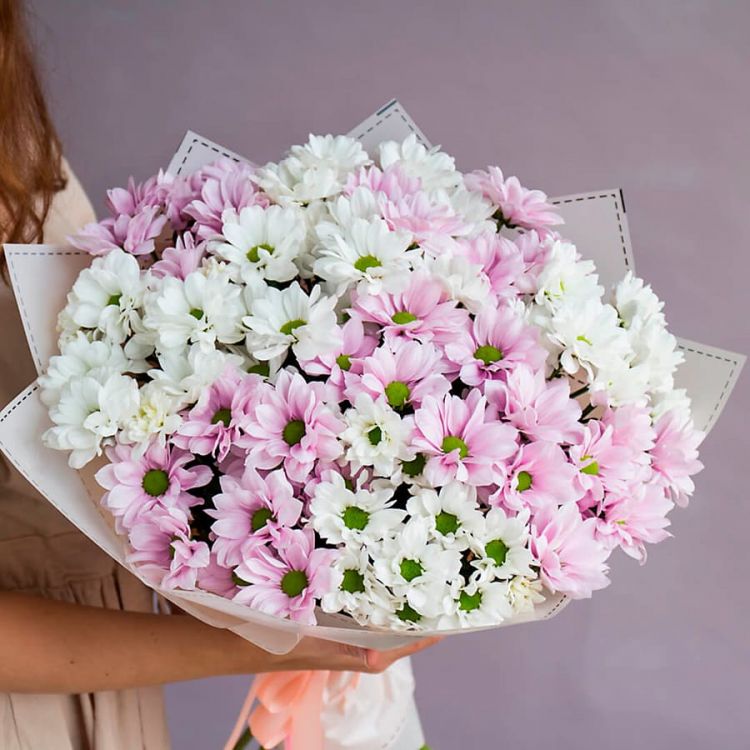 Ромашковое поле от 7 500 руб.