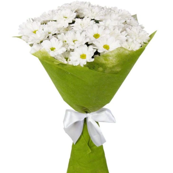 Белое облако от 4 600 руб.